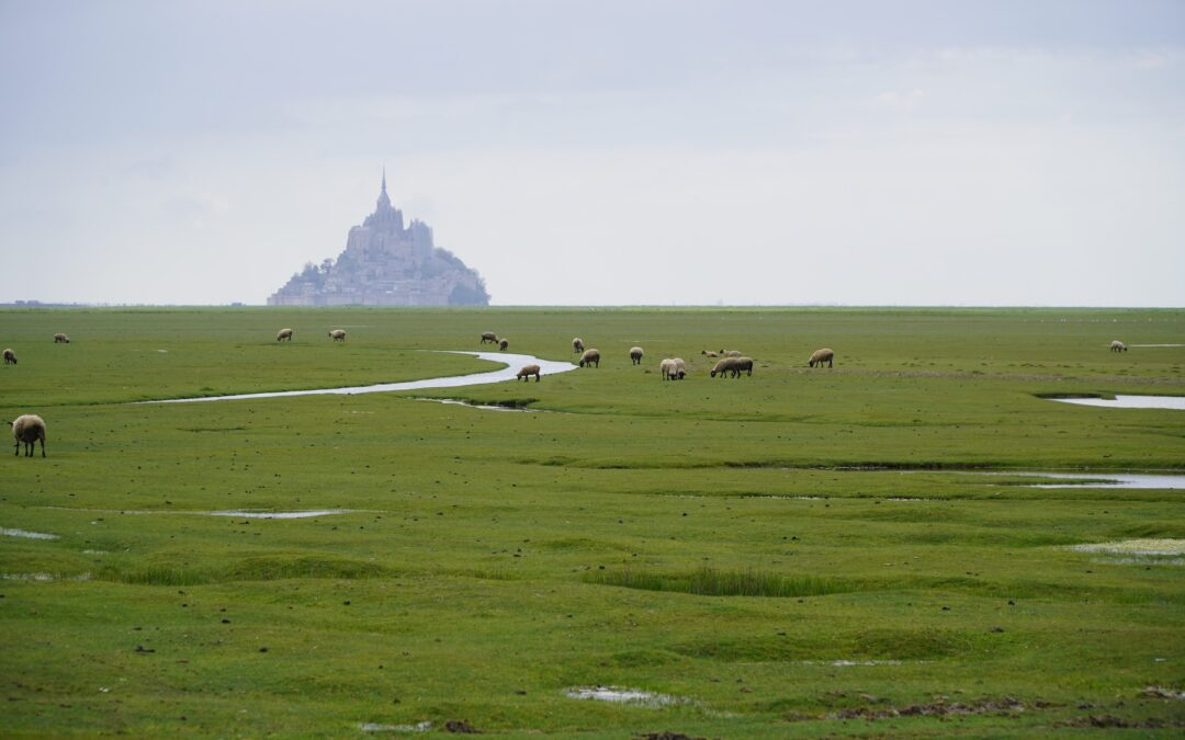 Normandia On The Road: viaggio tra Étretat, Rouen e Mont Saint Michel