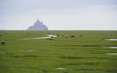 Normandia On The Road: viaggio tra Étretat, Rouen e Mont Saint Michel